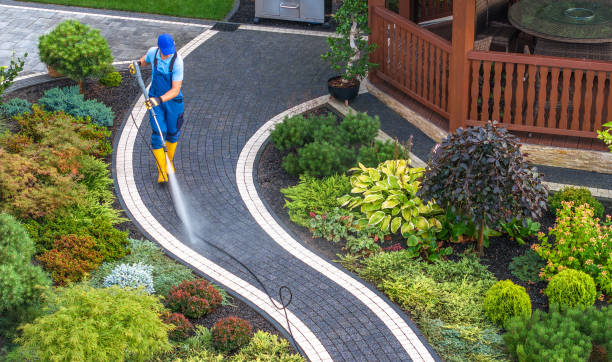 Best Pressure Washing Near Me  in Allendale, SC